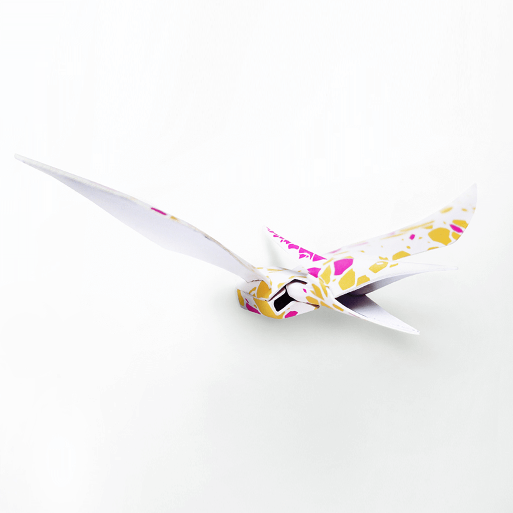 paper_1_jumbogift